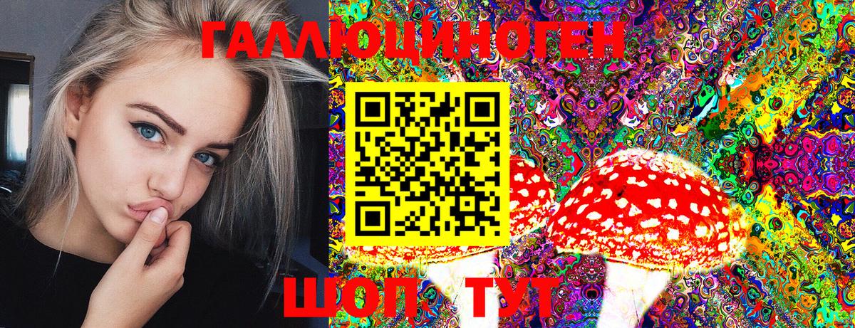 Галлюциногенные грибы Cubensis Белогорск